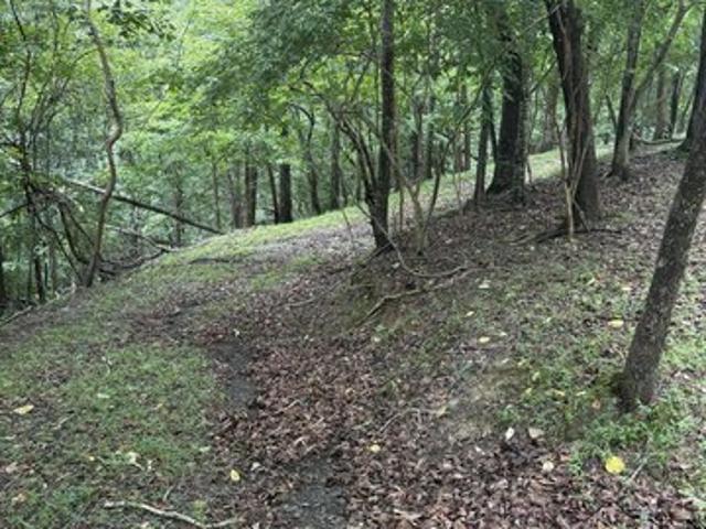 Land for sale in Gilmer, Georgia