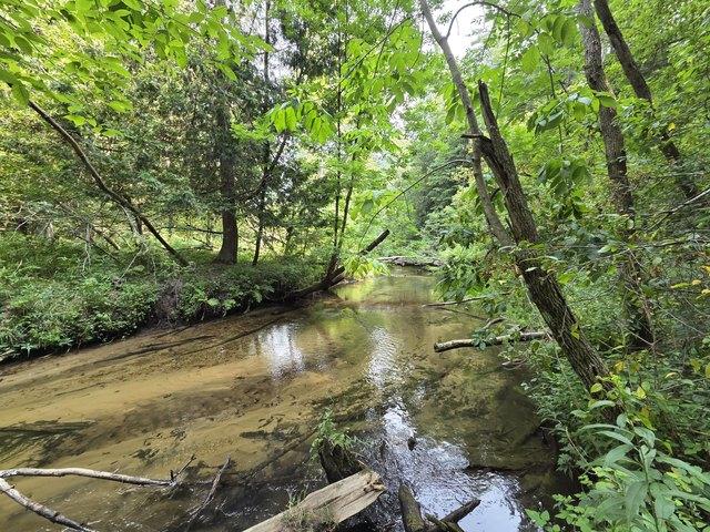 Land for sale in Luther, Lake County