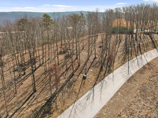 Land for sale in Tennessee