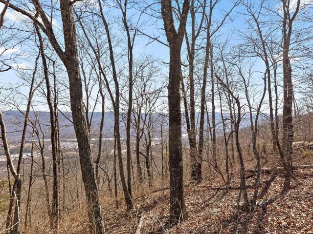 Land for sale in Tennessee