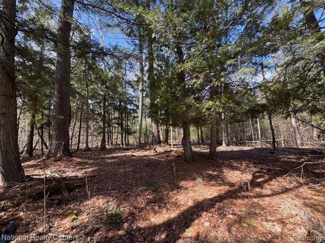 Land for sale in Michigan