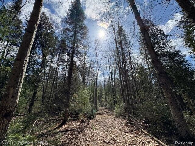 Land for sale in Houghton Lake
