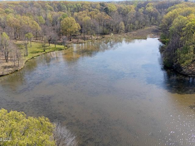 Land for sale in Walls, Mississippi