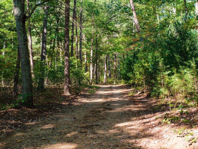 House for sale in Crozet, Albemarle County