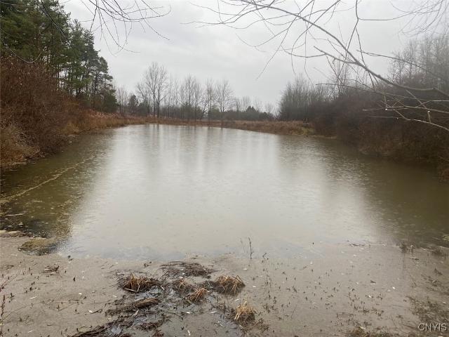Land for sale in Friendship, New York