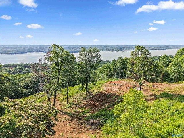 Land for sale in Grant, Alabama