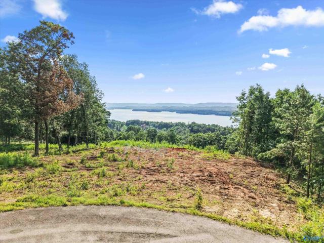 Land for sale in Grant, Alabama