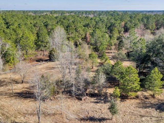 Land for sale in Adel, Georgia