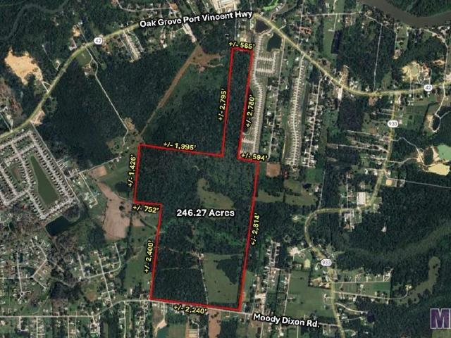 Land for sale in Prairieville, Louisiana