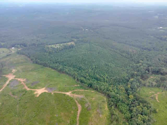 Land for sale in Spruce Pine, Alabama