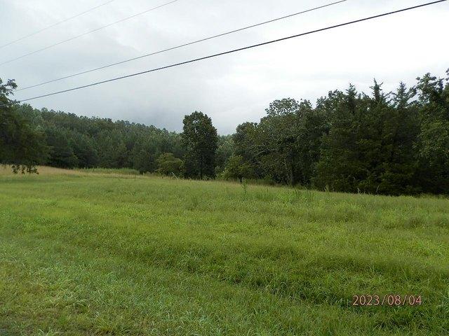 Land for sale in Spruce Pine, Alabama