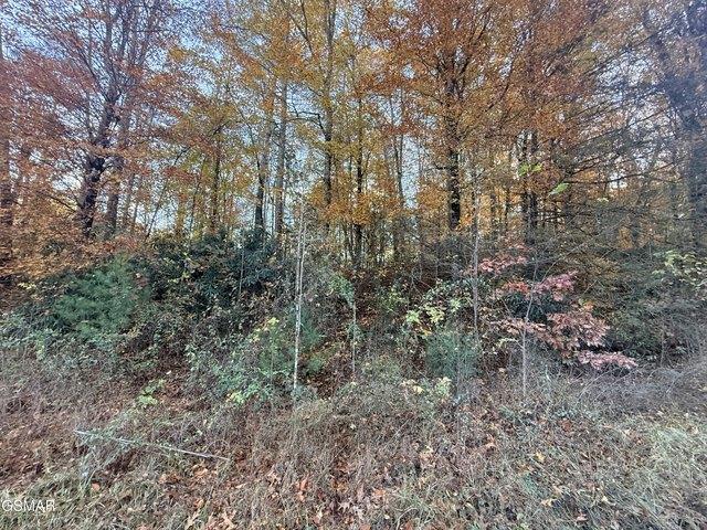 Land for sale in Tennessee
