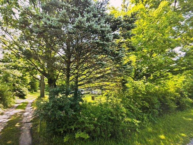 Land for sale in Covert, Michigan
