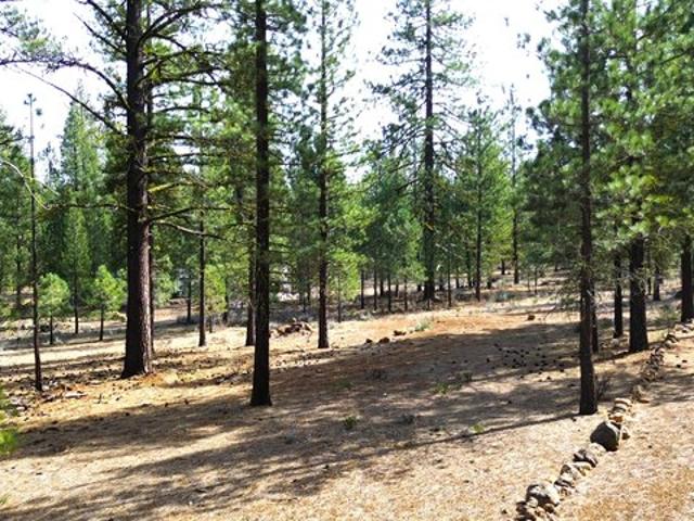 Land for sale in Shasta, California