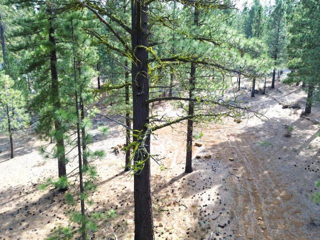 Land for sale in Shasta, California