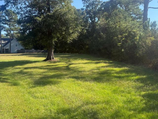 Land for sale in Richlands, Onslow County
