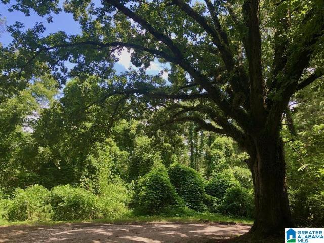 Land for sale in Birmingham, Jefferson County