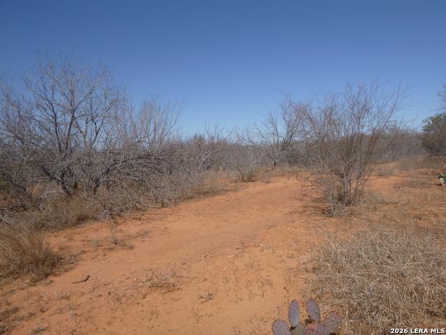 Land for sale in Moore, Texas