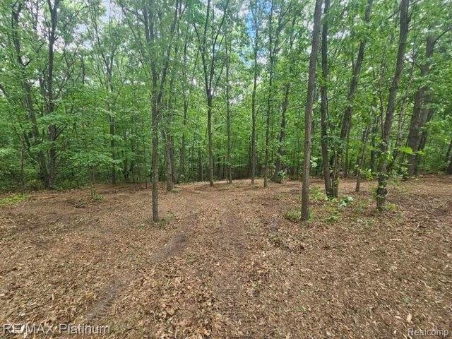 Land for sale in Michigan