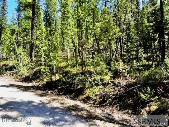 Land for sale in Island Park, Idaho