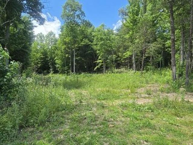 Land for sale in Tennessee