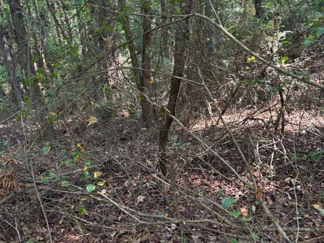 Land for sale in Ark