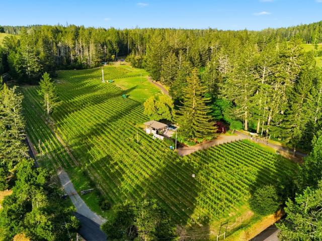 Property for sale in Angwin, California