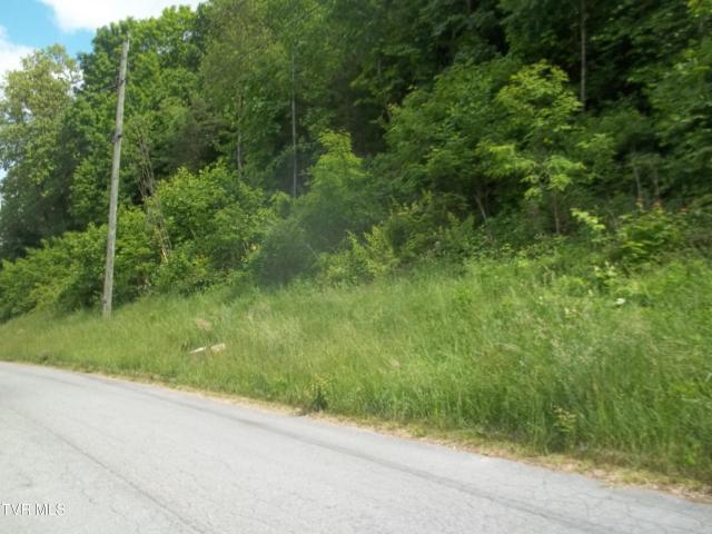 Land for sale in Tennessee