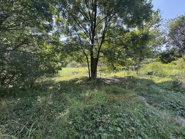 Land for sale in Rainelle, West Virginia