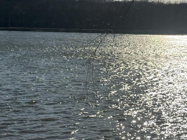 Land for sale in Tennessee
