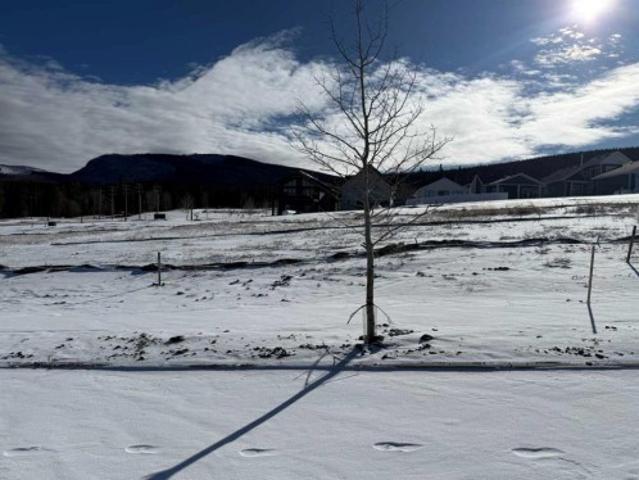 Land for sale in Nordegg, Alberta