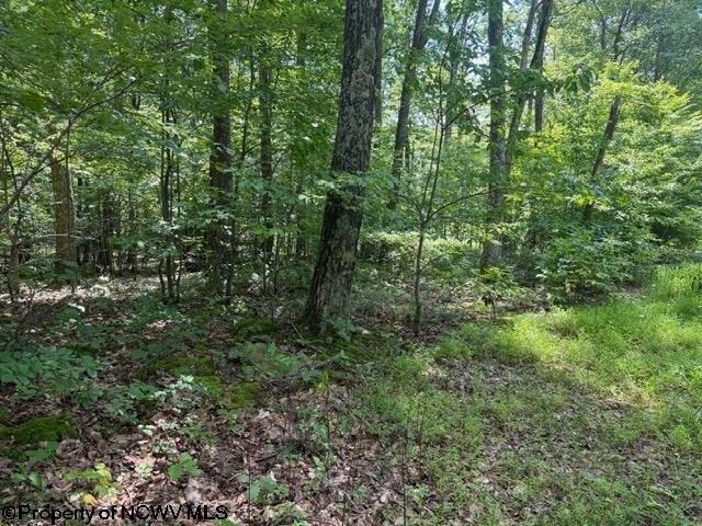 Land for sale in Montrose, West Virginia