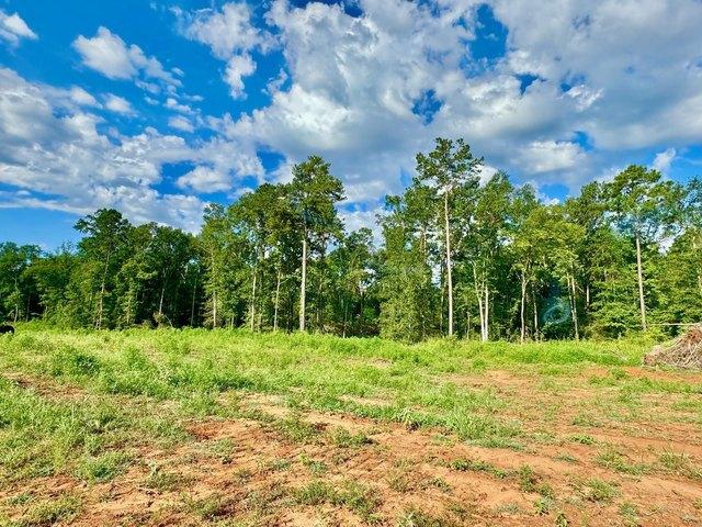 Land for sale in Sabine, Texas