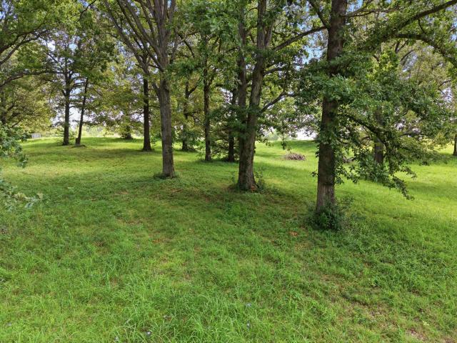 Land for sale in Calvert City, Kentucky