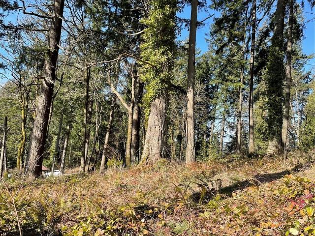 Land for sale in Chehalis, Washington
