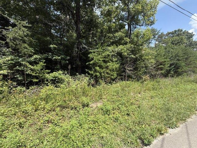 Land for sale in Tennessee