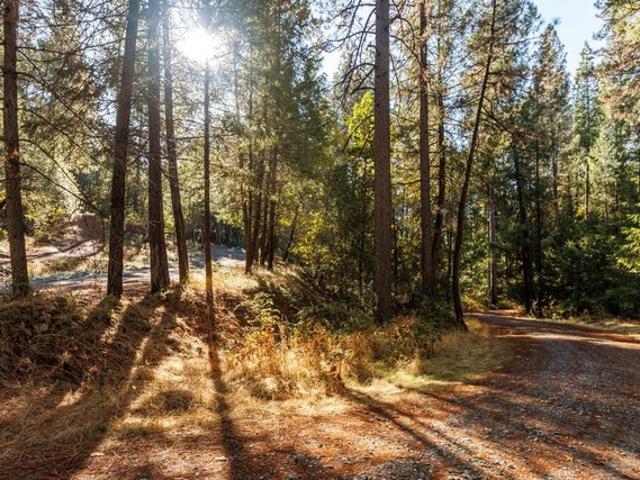 Land for sale in Camino, California
