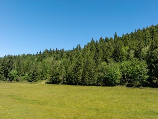 Land for sale in Fall Creek, Lane County