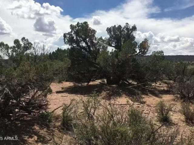 House for rent in Navajo, Arizona