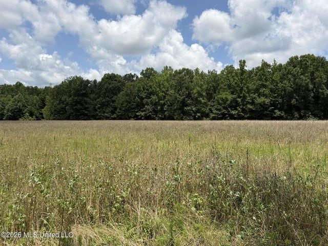 Land for sale in West, Mississippi