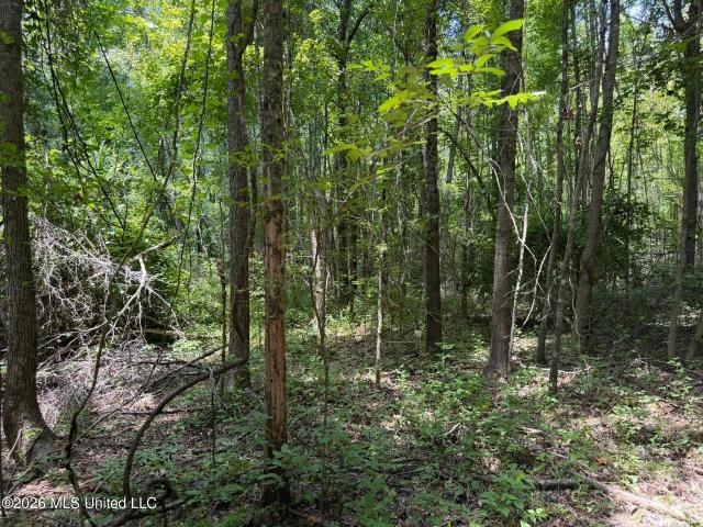 Land for sale in West, Mississippi