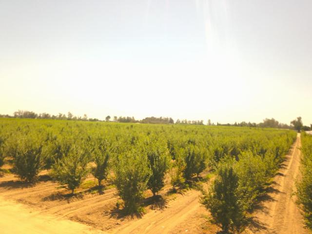 Property for sale in Tulare, California
