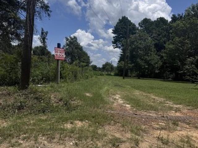 Land for sale in Hillister, Texas