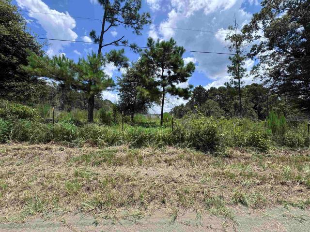Land for sale in Hillister, Texas