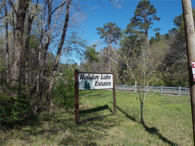 Land for sale in Polk, Texas