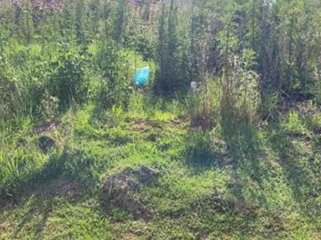 Land for sale in Mpumalanga