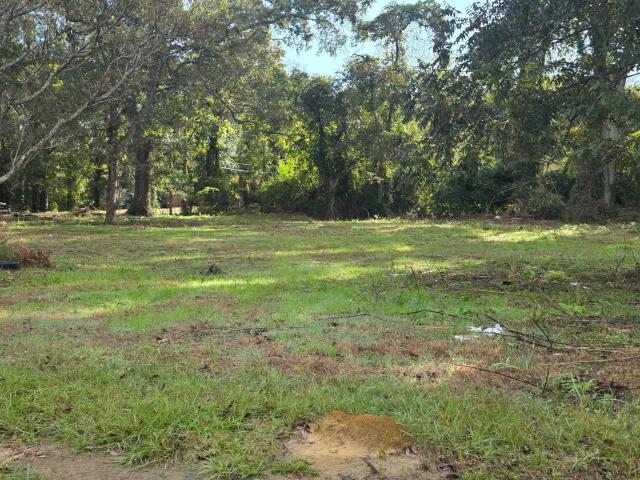 Land for sale in Bogue Chitto, Mississippi