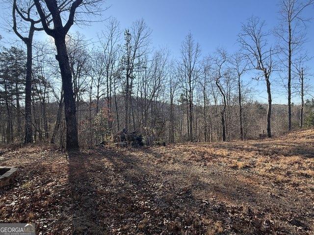 Land for sale in Demorest, Georgia