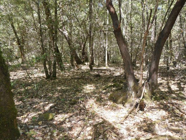 Land for sale in Burnt Ranch, California