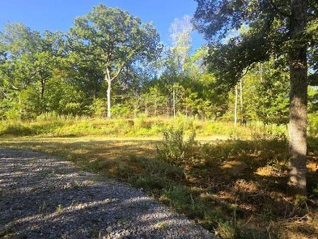Land for sale in Caddo, Bryan County